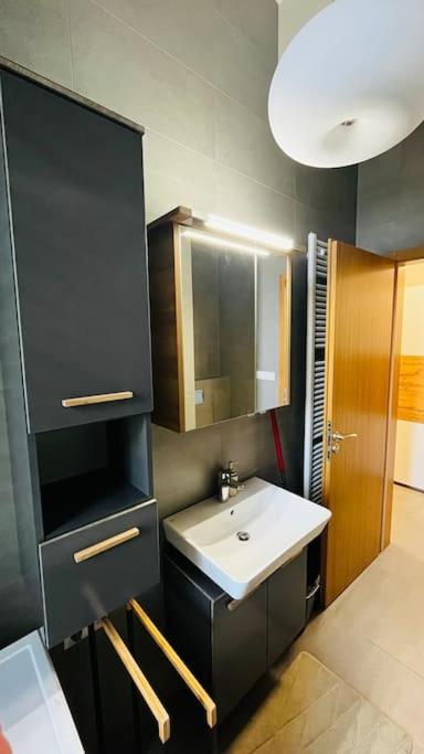 Apartamento Holesovice, Garden, Garage *